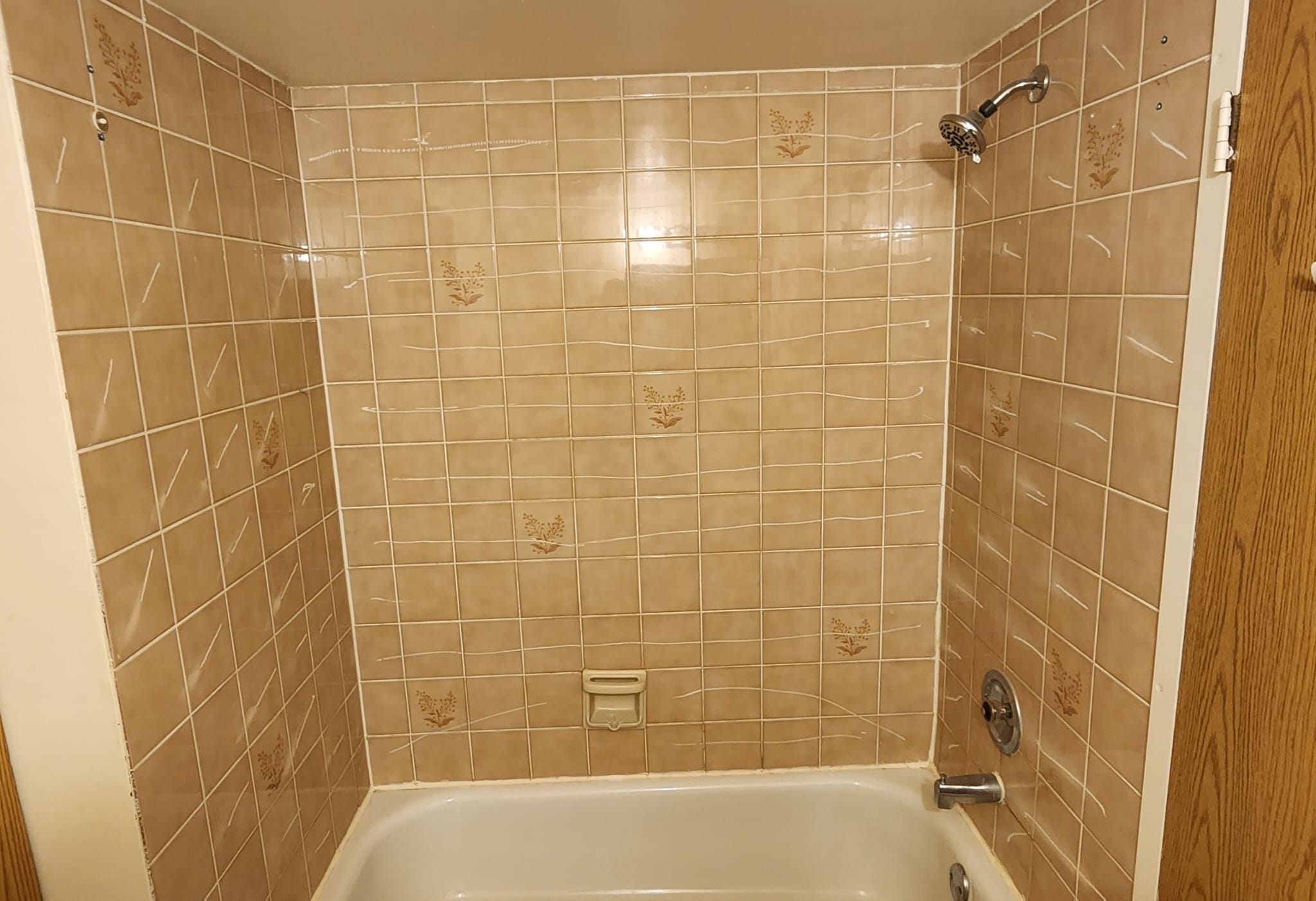 Bathtub before renovation