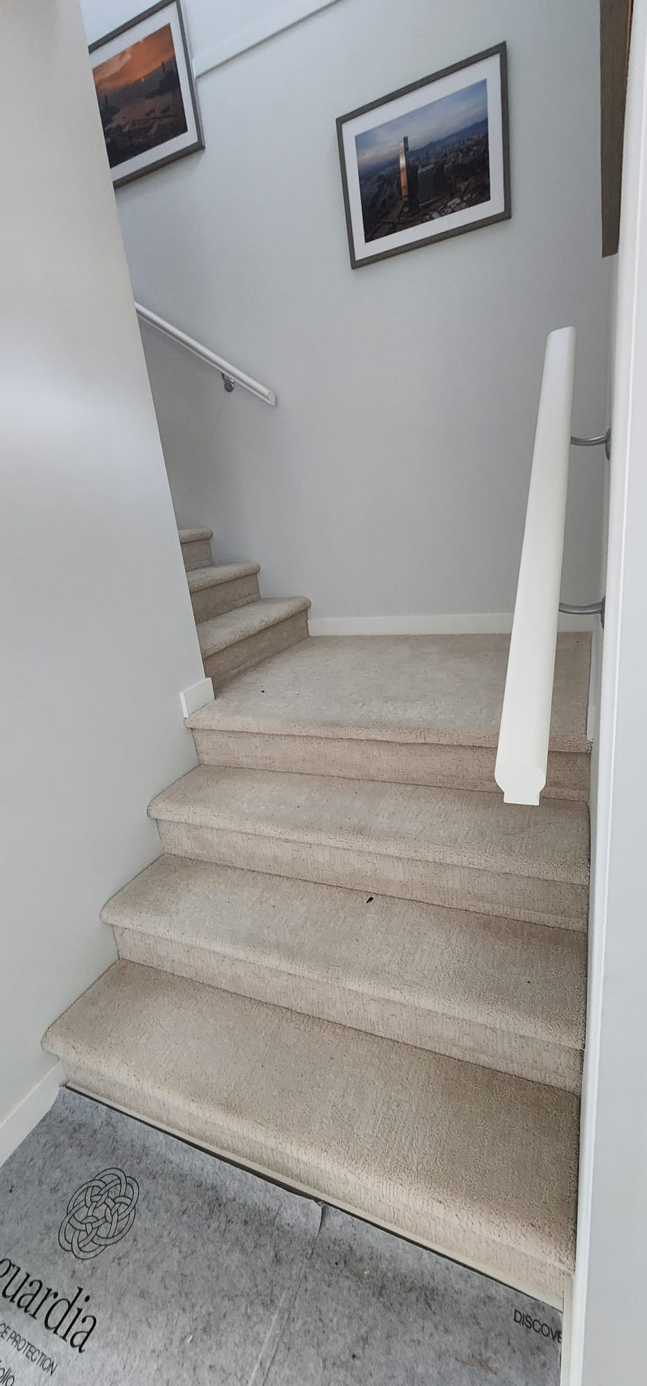 Staircase before — carpeted treads